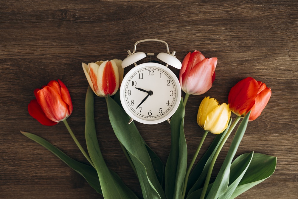 10 Things You Need to Know About Retirement